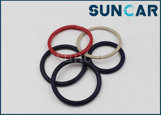 kupować Zestaw uszczelek wtryskiwacza 297-4841 CA2974841 2974841 Zestaw uszczelek SFI do silników C.A.T C7 C9 online manufacture