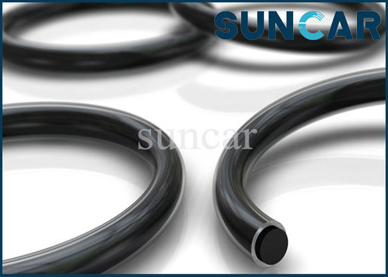 Ring CS2 O-Ring Seal Kit For Sealing